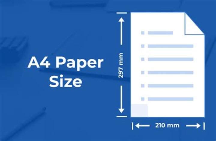 1/4 sheet of paper size