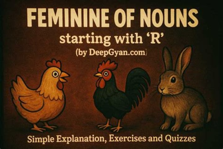 feminine of rabbit