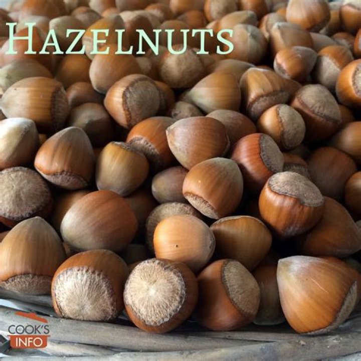 what is hazelnut called in india